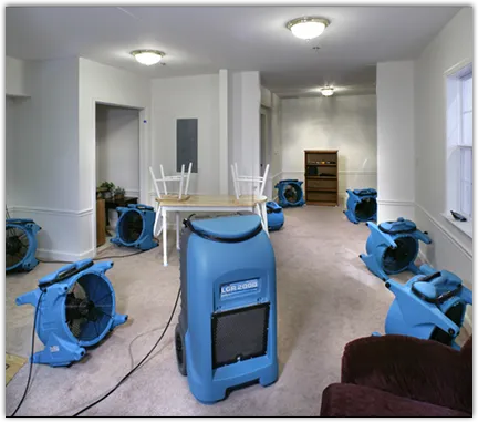 Water Damage Restoration services in Iowa Colony, TX